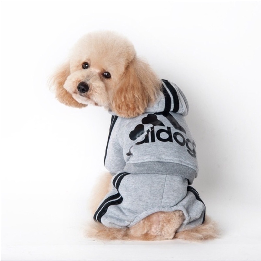 Adidog Grey Dog Clothes